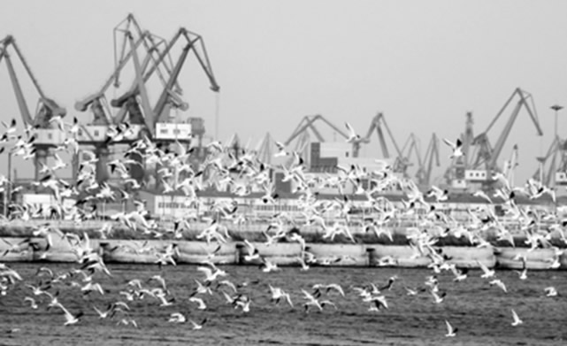 Qinhuangdao Port
